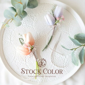 RT[W`[bviM)yNo.063zƎEwEZj[P[Xt