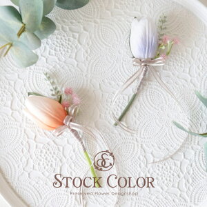 RT[W`[bviS)yNo.064zƎEwEZj[P[Xt