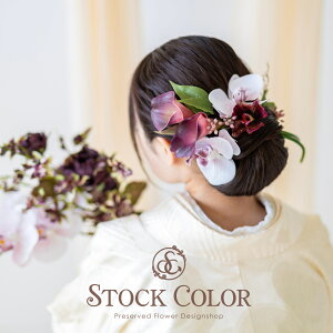 ӒƃJ[B̃wbhhX/wAANZT[(p[vzCgjEFfBOEElEƎ