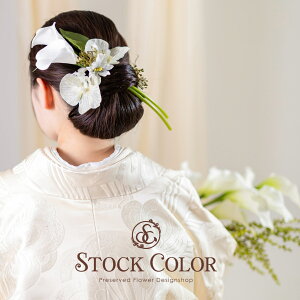 ӒƃJ[B̃wbhhX/wAANZT[(zCgO[jEFfBOEElEƎ