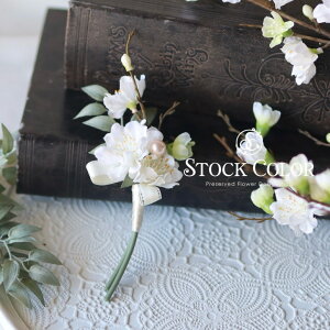 RT[WyNo.066zƎEwEZj[P[Xt