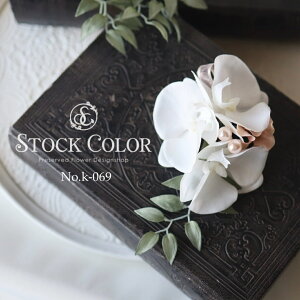 RT[WӒyNo.069zƎEwEZj[P[Xt