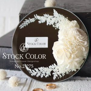 ~[v[g̃Os[([XzCg)NX^_CJbgvU[uht[ EFfBO  uC_ t[Mtg