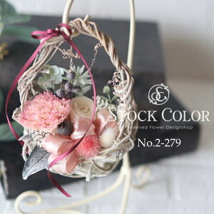 J[l[Ṽ~joXPbgvU[uht[ ̓