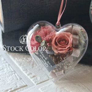 ̓AWJ[l[ṼL[rbNn[g(Pink)vU[uht[