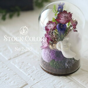 AXgeBAƌӒ̕ԃ_AW(L)vU[uht[EA[gt[