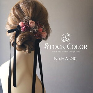 XG[h{ƃ[ỸwbhhX/wAANZT[i[usNjvU[uht[