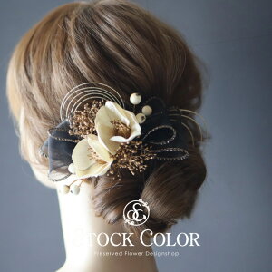  { ̃wbhhX/wAANZT[iAC{[ubNjvU[uht[A[eBtBVt[