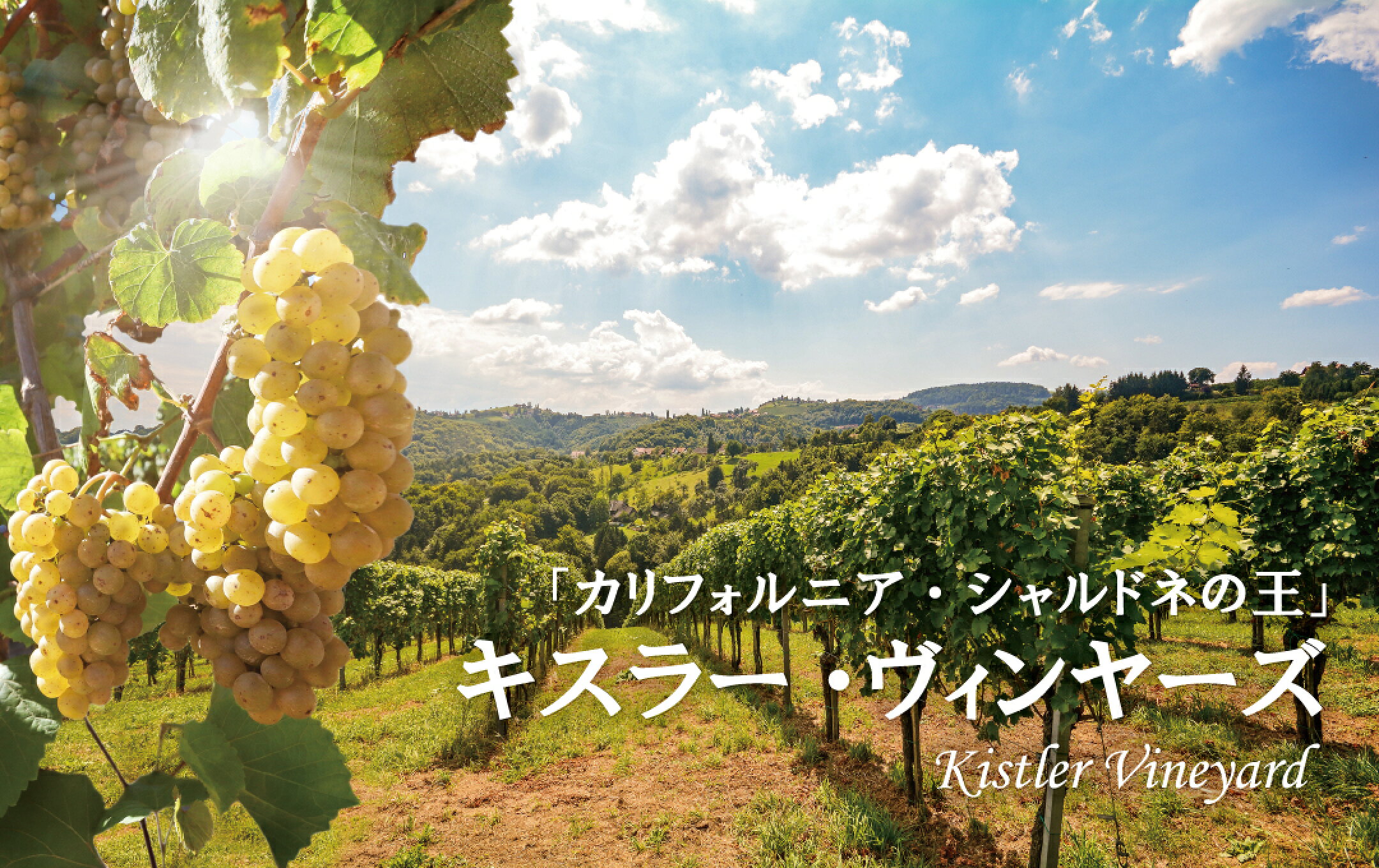 「カリフォルニア・シャルドネの王」キスラー特集