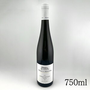 y2020 [XO cFeBK[E]lE[A[ AEX[[EgbP / }[JXEg[zhCc C LOi v[g ̓ ̓