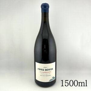 y2021 R[gEeBEhk / OUBGEWF[zԃC Mtg LOi ̓ ̓ zCgf[