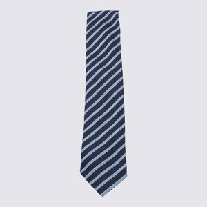 ZEGNA [jA Y lN^C Z2D05TA21P8BL1 ZEGNA Ties Blue Blue and green onesize yE֐ōz