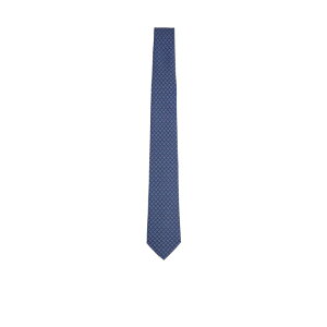 yyVX[p[Z[ ő80%OFF+P2{~zFERRAGAMO tFK Y lN^C 3509504TETRIS768562 Ferragamo Ties Blu onesize yE֐ōz