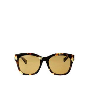 Chloe NG fB[X TOXEACEFA CH0194SK004 Sunglasses Brown 55 yE֐ōz