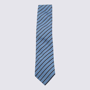 ZEGNA [jA Y lN^C Z2D05TA21P8BL3 ZEGNA Ties Blue Blue and green onesize yE֐ōz