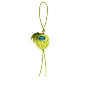 LOEWE ���G�x ���f�B�[�X �L�[�����O�E�L�[�P�[�X C621232XOZGREEN Green leather Apple charm Green onesize �y���������E�֐ō��z