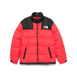 yyVC[OXӍՍő80%OFF+P2{~zTHE NORTH FACE UEm[XEtFCX Y _EWPbgER[g NF0A3Y236821 THE NORTH FACE Jackets Red Bright S M L yE֐ōz