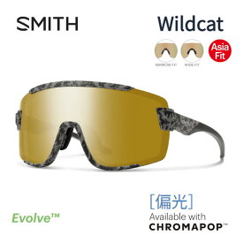 【マラソン期間★3000円以上で300円OFFクーポン】スミス サングラス 偏光 smith wildcat Matte Gray Marble (CP Polarized Bronze Mirror)クロマポップレンズ アジアフィット SMITH 日本正規品【C1】【s4】