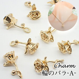 188. `[ ւ̃o S[h 1 [Y o KN p[c lbNX y_g ANZT[p[c nhCh 