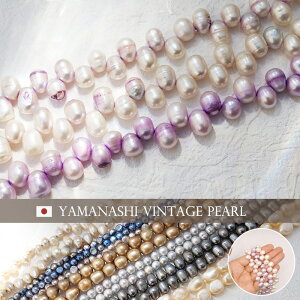 yCz Be[W Wp[ AyVT10z37cm Wp[v |eg NI 7mm  obNp[ Be[Wr[Y re[W { i p[ ^ ޗ fbhXgbN A