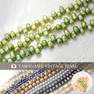 yCz Be[W Wp[ AyVT11z37cm CG[O[ |eg NI 6mm  obNp[ Be[Wr[Y re[W { i p[ ^T[ ޗ fbh