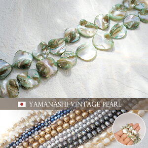 yCz Be[W VFr[Y AyVT18z40cm u[O[ obNRC 18mm  Lr[Y Be[Wr[Y re[W { i ^LT[ f ޗ fbhXg