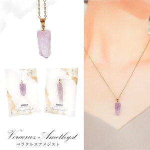 yz 19. xNXAWXg y_ggbv S[h SUS316L LVRY { 1 T[WJXeX p[Xg[ VR  lbNX AJl ЍHꐧ