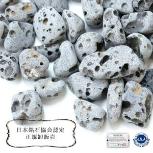 y{΁z _ΎR qɌr 100g pbP[Wt ^C N GlM[㏸ (Z[ΏۊO)