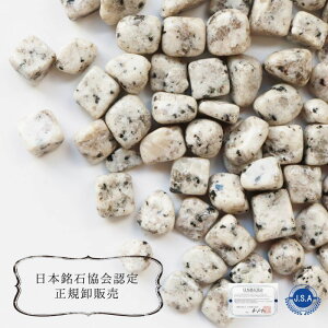 y{΁z ߉ރxY ɐ qOdr 100g pbP[Wt ߉ޔ@ N  (Z[ΏۊO)