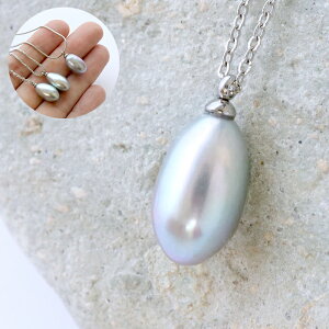 Wp[y115. O[ ꗱ lbNXzW^ AM[Ή XeX IP[W  i e JWA{y[֑z