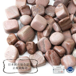 yXSi15%ItN[|z y{΁z V`[g qVr 100g pbP[Wt Ԃ߂ ăX^[g  (Z[ΏۊO)