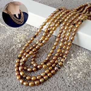 yCz {y105. Wp[ 4AlbNX 60cm uES[hz^ VR S[h p[ ^ JWA tH[}  w Ǝ fB[X i MtgyB8z 