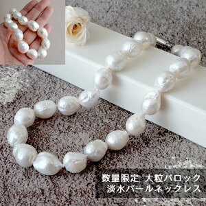 AM[Ή y106. Wp[ 嗱 obN lbNX 45cmz ʌ i I[mbgdグ }Olbg 16mm Vv n ϐFɂ A