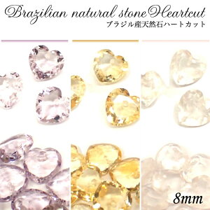 yő50%It X[p[SALEz uWYVR΃r[Y n[gJbgy08.Vg AWXg [YNH[c 12mmz1  p[c WG Vg AWXg [YNH[cy 