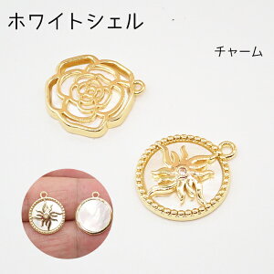 y386zzCgVF `[ [Y z RC VF  `[ ANZT[ p[c 