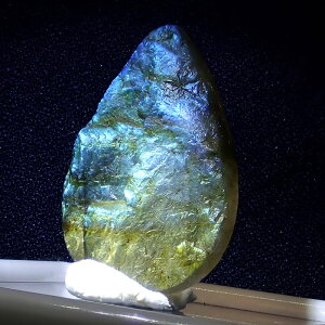 yő50%It X[p[SALEz [X@yhD[W[uhCg@hbv^z 1 }_KXJY VR  P[Xt