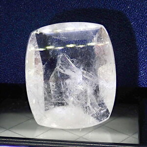 ���[�X�@�y�N�H�[�c�C���N�H�[�c �s��`�z1�_���� �@��22mm �q�}�����Y �V�R�� �������� �P�[�X�t��