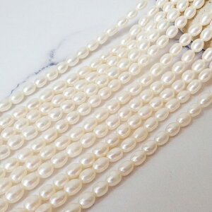 yő50%It X[p[SALEz y206. Wp[ r[Y CX^z3*5mm 1{/10{i32cmjzCg  W^