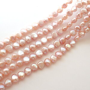 yő50%It X[p[SALEz y210. Wp[ |eg Az9*7mm 1{i40cmjr[Y zCg  W^