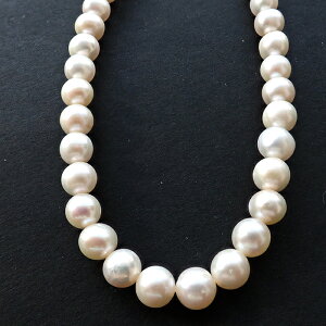 yő50%It X[p[SALEz y216. Wp[ Z~Eh A z8mm 1{i40cmjzCg r[Y  W^