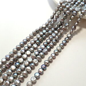 yCz y220. Wp[ O[ |eg Az@7*6mm 1{i40cmjr[Y  W^