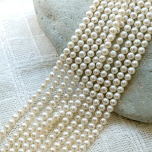 yCz y228. Z~Eh Wp[ AzzCg6mm 1{i40cmj|eg r[Y  W^