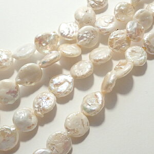 yCz y233. RCWp[ r[Yz 10mm/ A  18cm zCg  W^