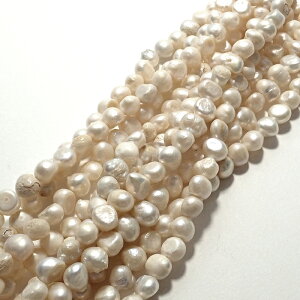 yCz y234. |eg Wp[ r[Y Az 5-6mm/ 36cm zCg  W^