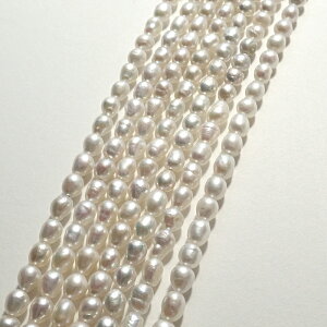 yő50%It X[p[SALEz y237. I[o Wp[ r[Y Az~jTCY@ 3.5*4.5/ 38cm zCg  W^