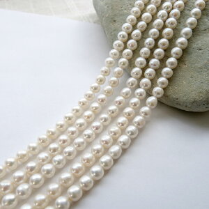 yő50%It X[p[SALEz y254. Z~Ehy2Az Wp[ r[Y AzTCY 5.5mm zCg ^ jAEh