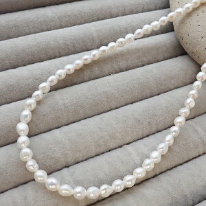 Wp[ zCgy lbNX CX4×5mmz AWX^[t AM[Ή XeX {