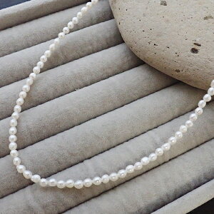 Wp[ zCgy lbNX |eg^ 3mmz AWX^[t AM[Ή XeX {