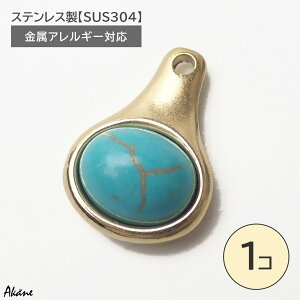 XeXySUS304z AM[Ή ^[RCY `[ S[h ^ VR p[c 