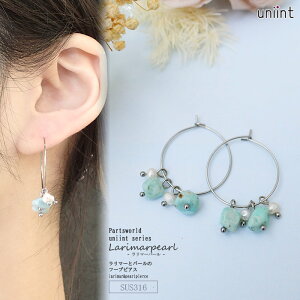 yCz AM[Ή sAX y}[ƃp[ t[vsAXz T[WJXeX SUS316 hsAX ςȂ ANZT[ fB[X VR v[g [֑